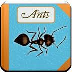 The Strange & Wonderful World of Ants app By Amos Latteier