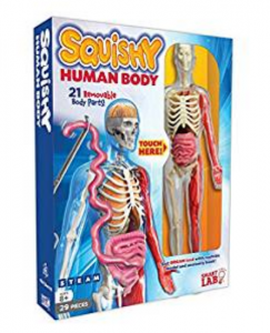 6. SmartLab Squishy Human Body