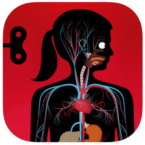 The Human Body by Tinybop