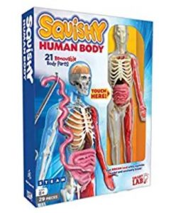  SmartLab Toys Squishy Human Body