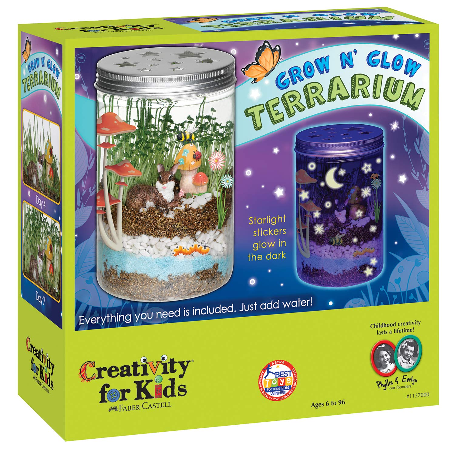 Best Terrarium Kits for Kids Age 913