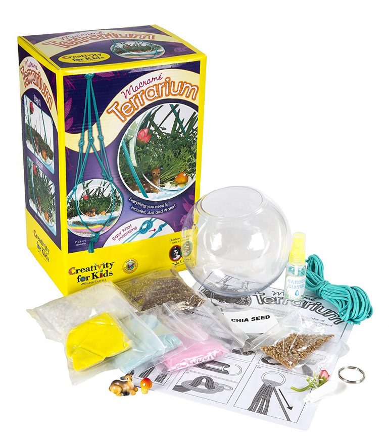 Best Terrarium Kits for Kids Age 9-13