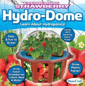Dunecraft Everbearing Strawberry Hydro-Dome Science Kit