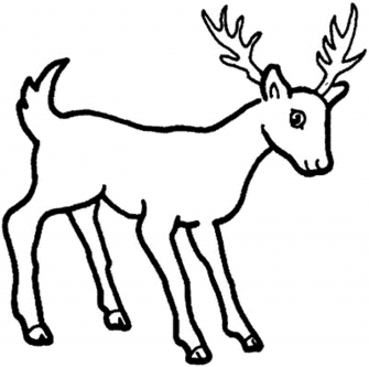 cartoondeercoloringpages   bestappsforkids