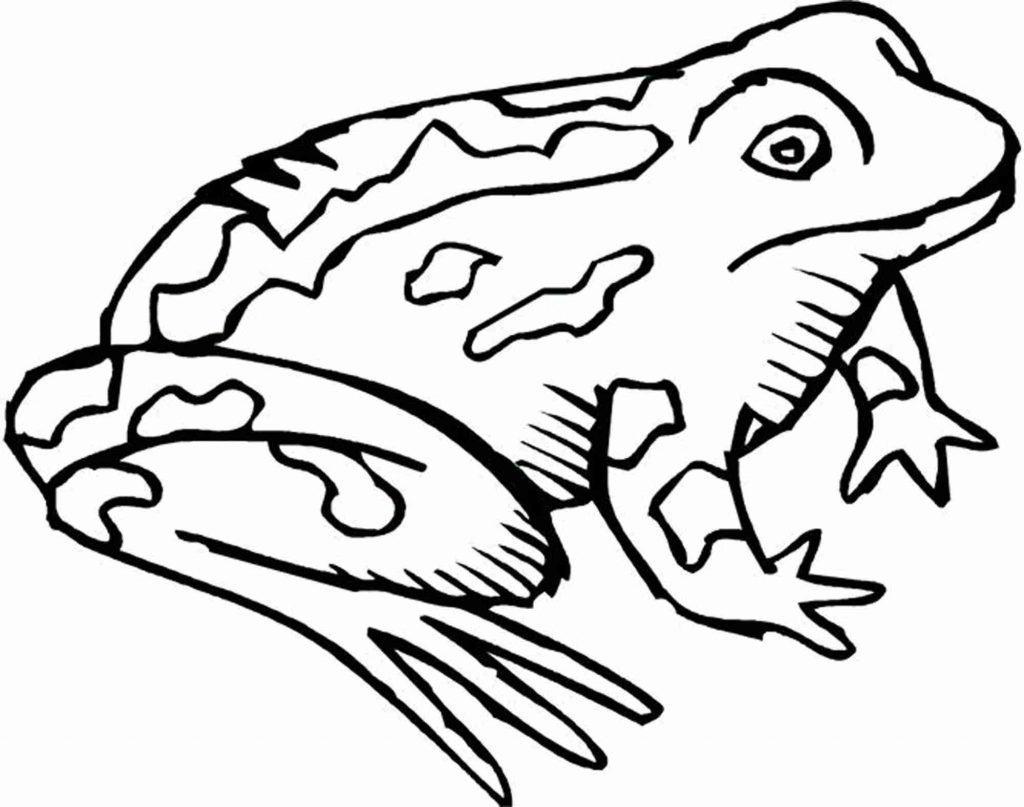 frog-and-toad-coloring-pages | | BestAppsForKids.com