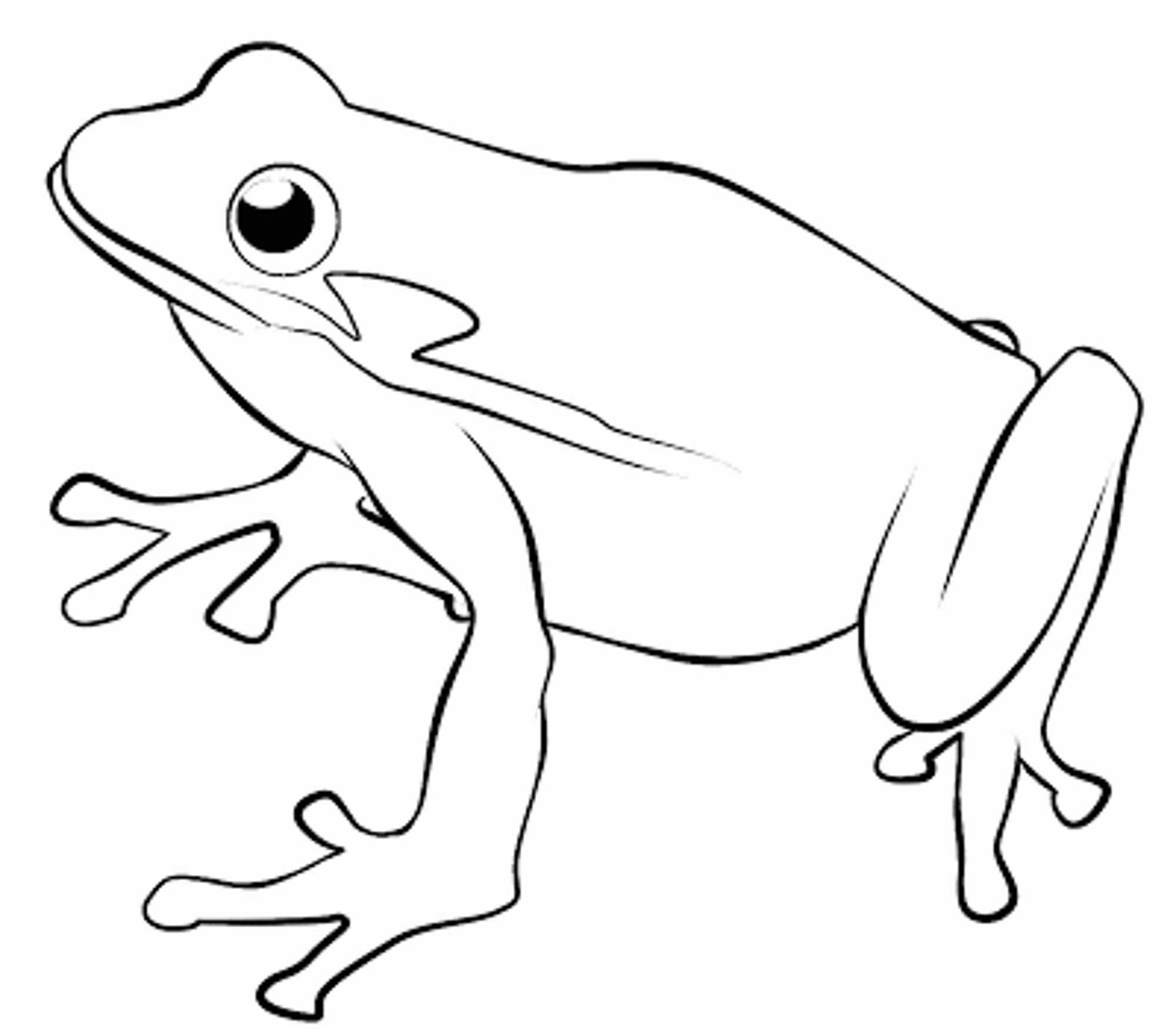 Print & Download Frog Coloring Pages Theme for Kids