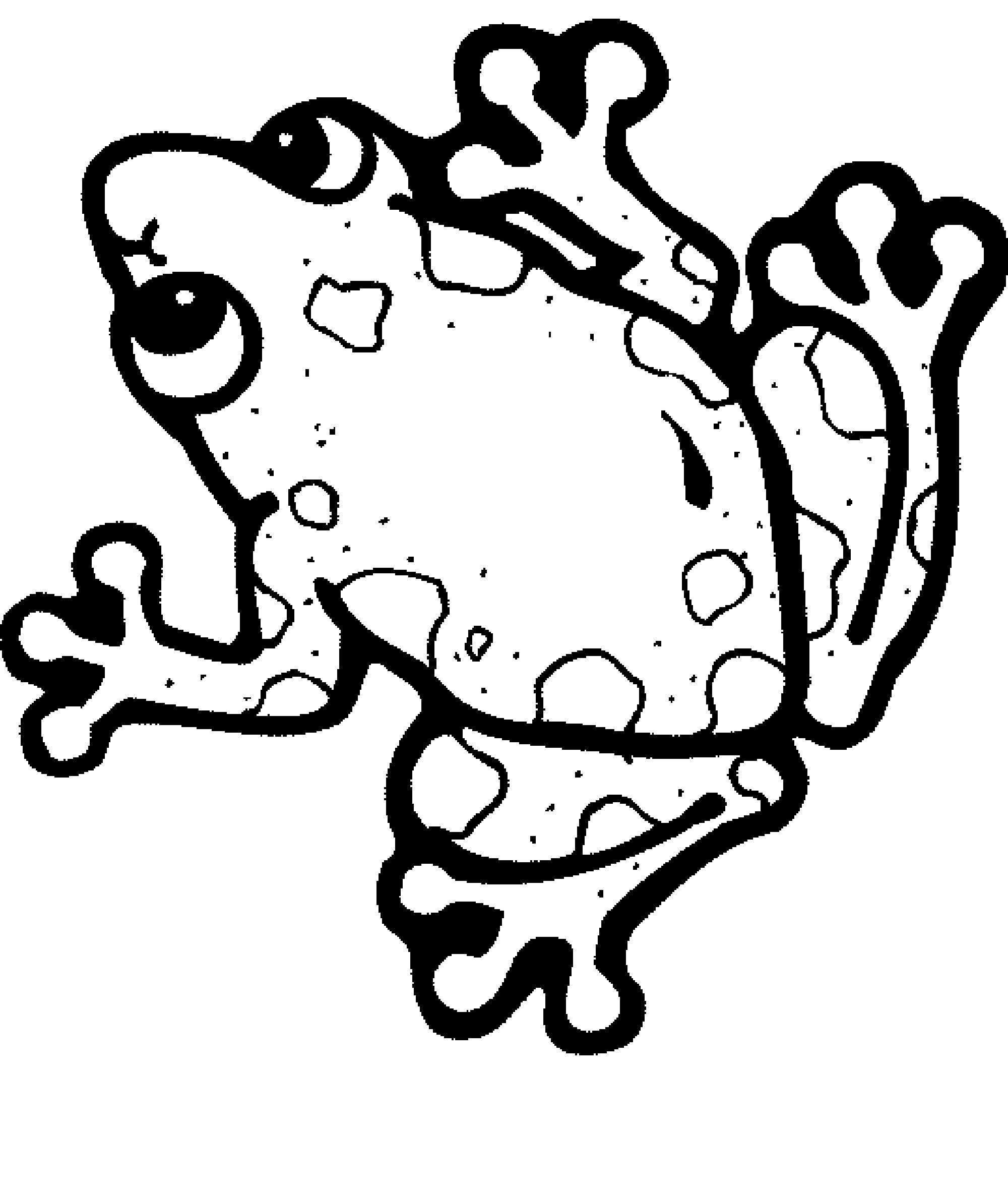 Print Download Frog Coloring Pages Theme for Kids