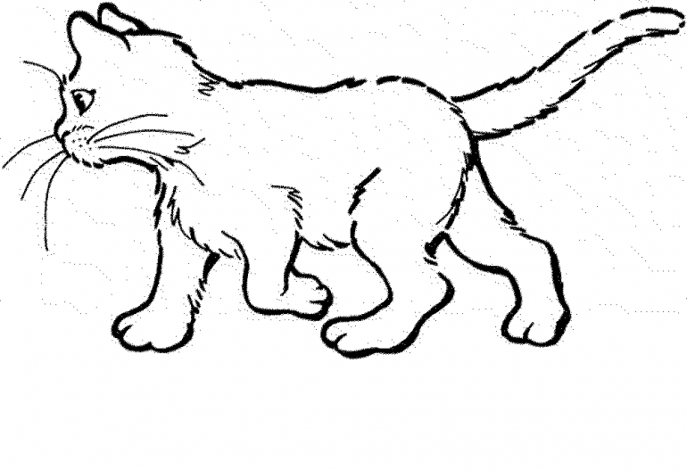 realistic-cat-coloring-pages | | BestAppsForKids.com