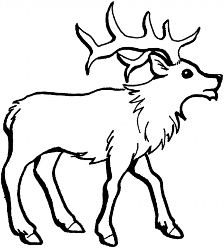 Print & Download - Deer Coloring Pages for Totally Enjoyable Leisure ...