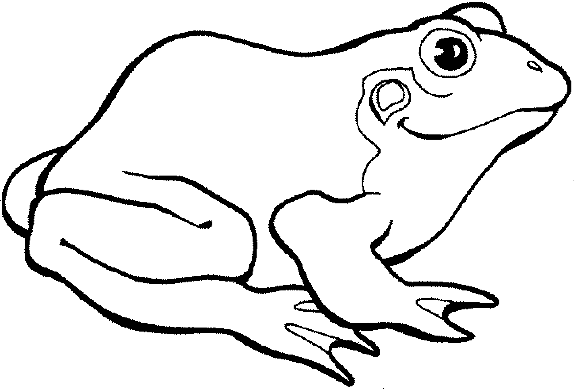 frog coloring pages for preschoolers