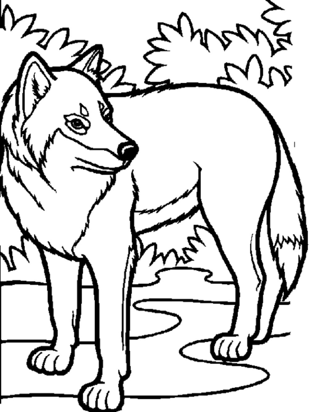 Print Download Wolf Coloring Pages Theme
