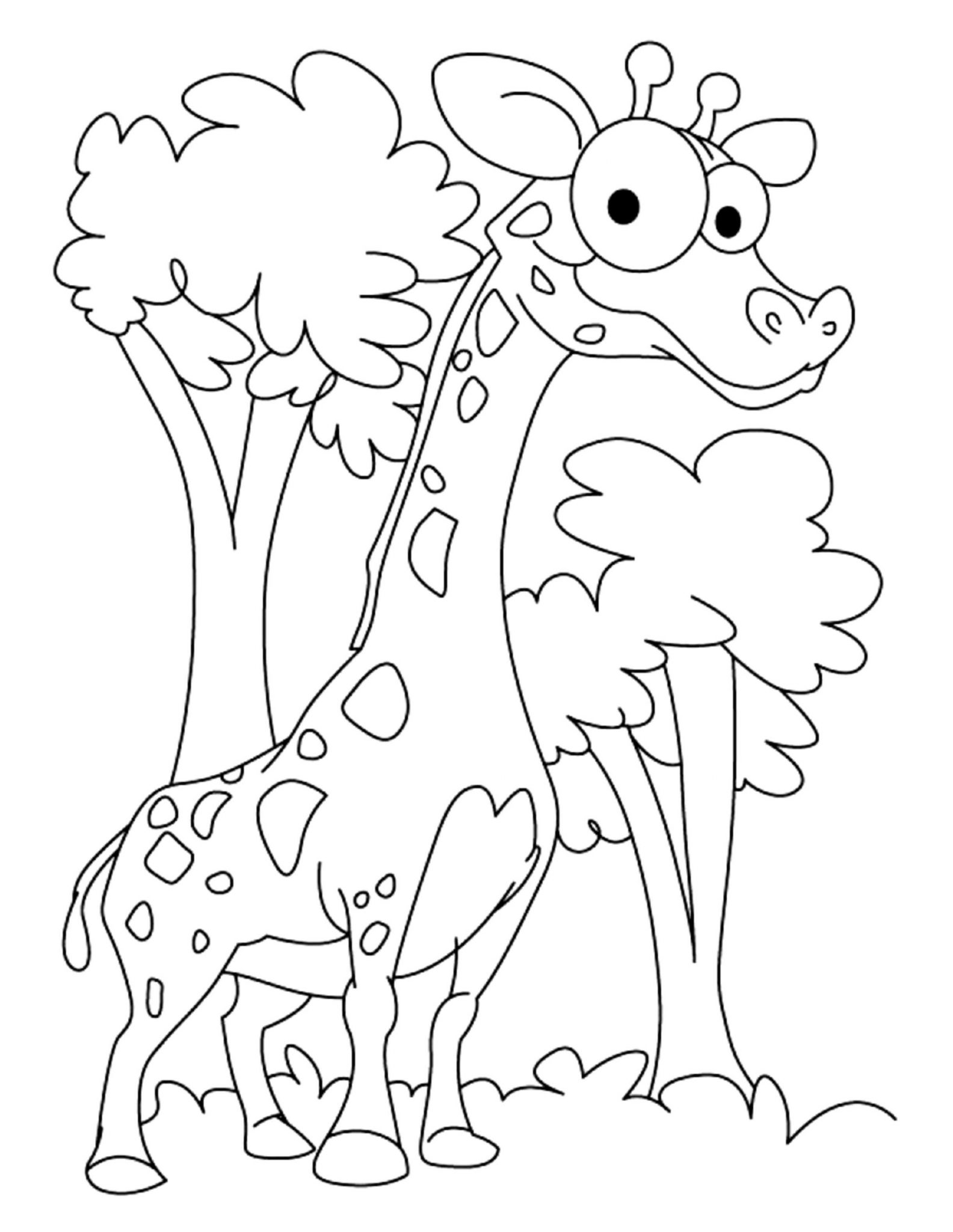 Жираф раскраска для детей 5-6 лет