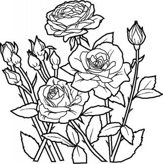 Coloring-page-of-flowers 