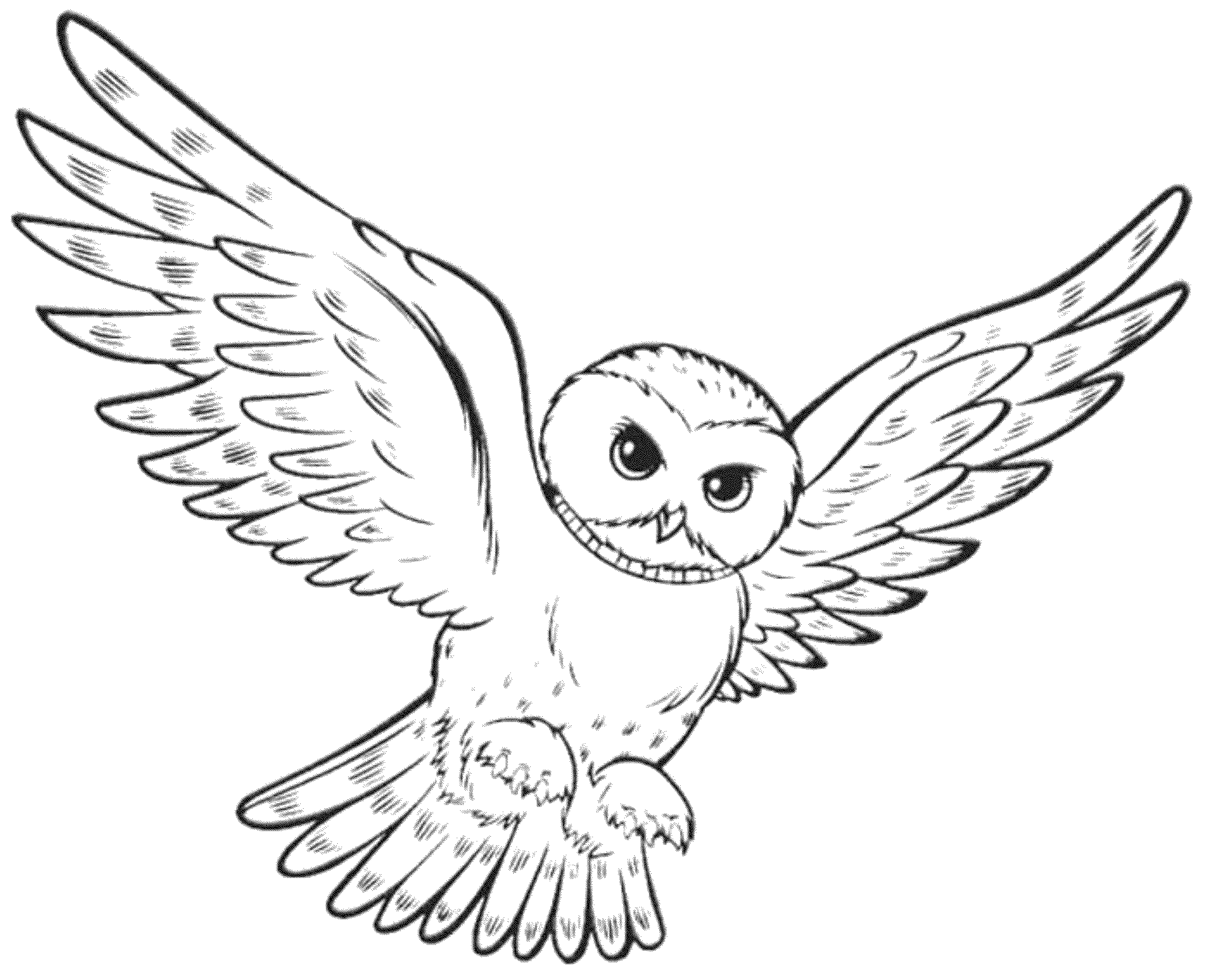 Download Print & Download - Owl Coloring Pages for Your Kids