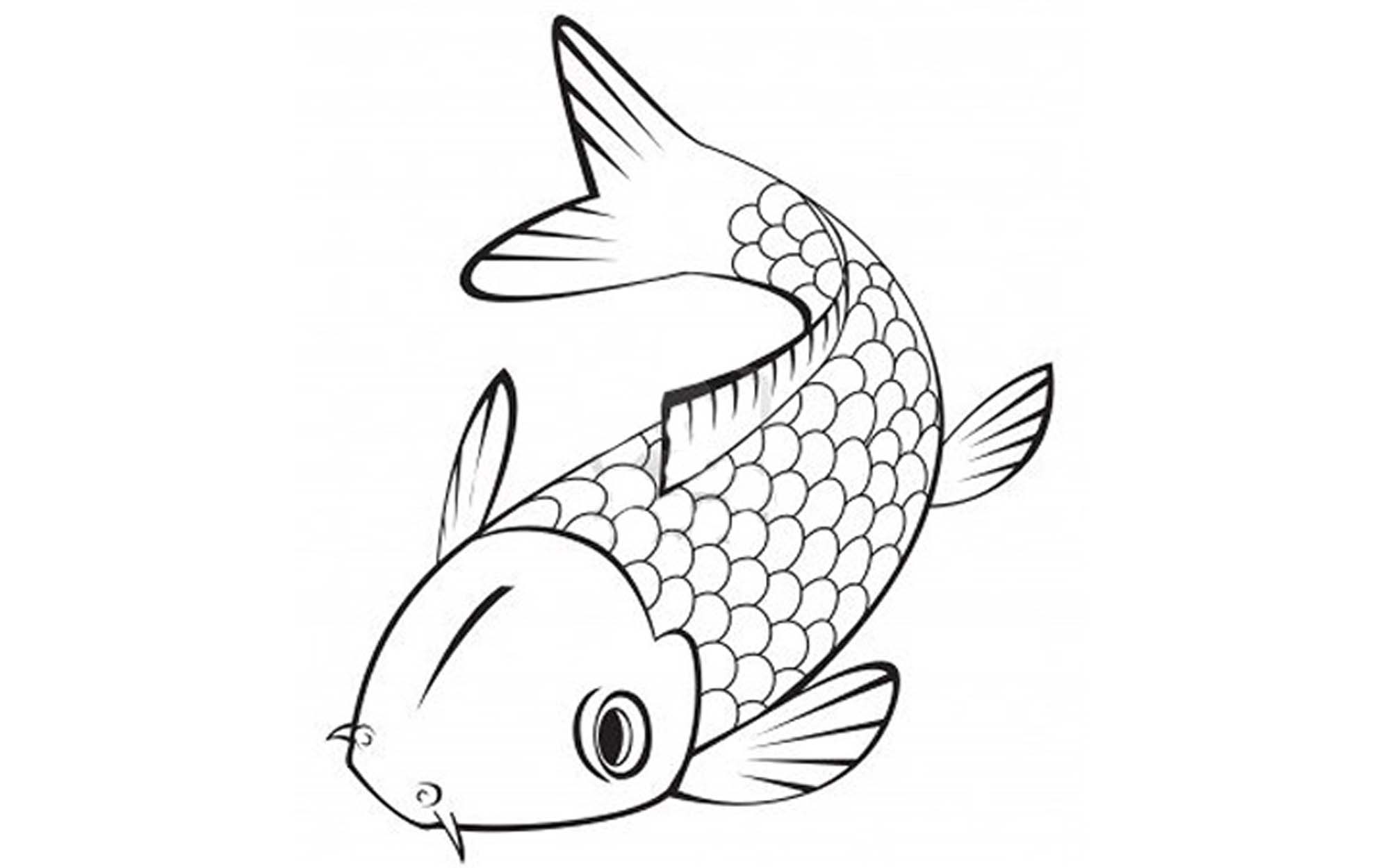 Fish Coloring Pages