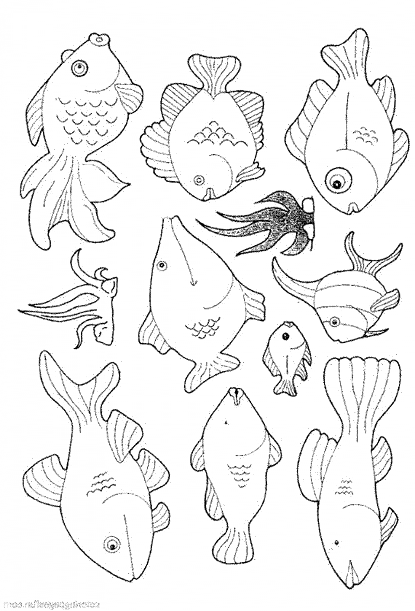 Print & Download Cute and Educative Fish Coloring Pages