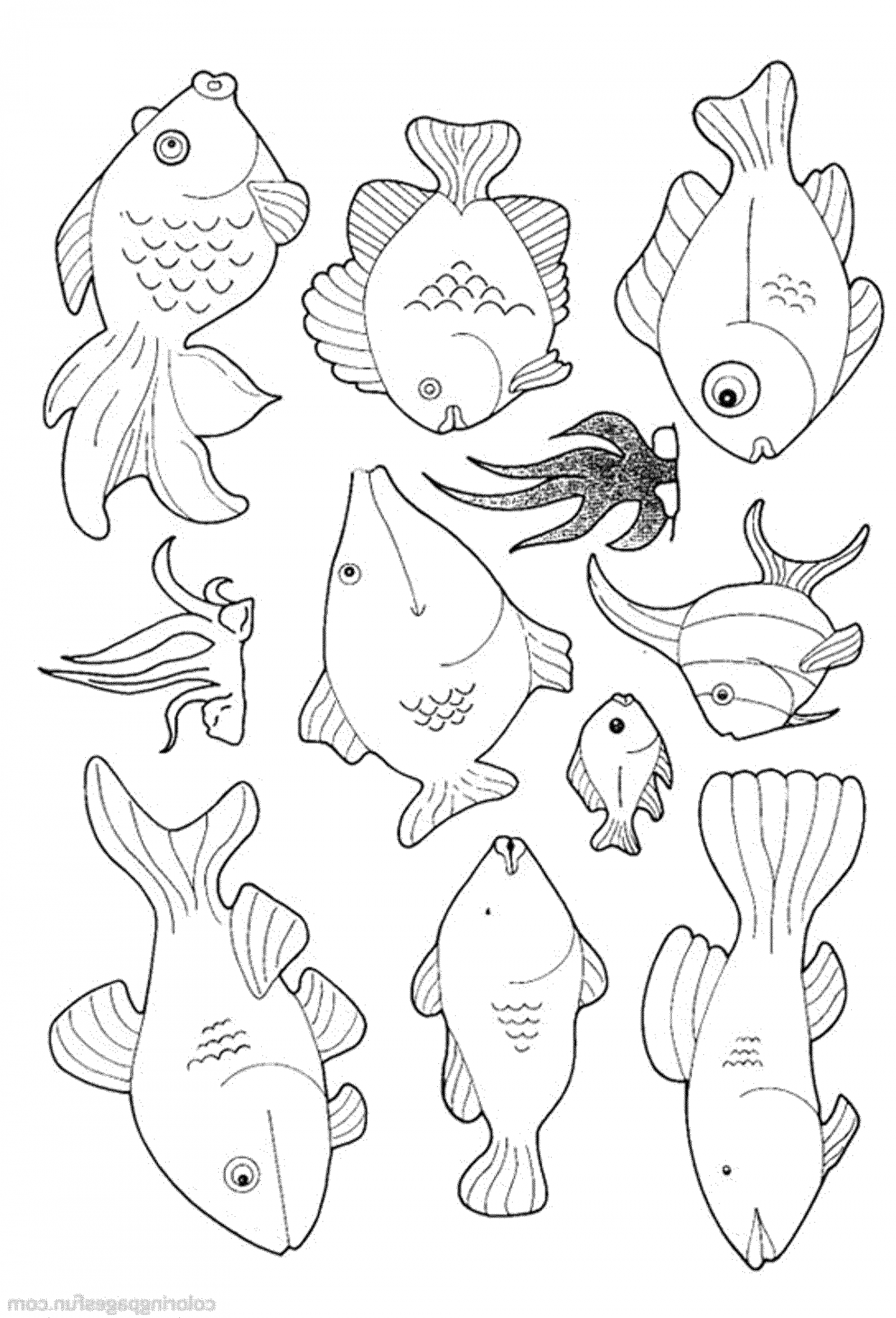 free-printable-fish-coloring-pages