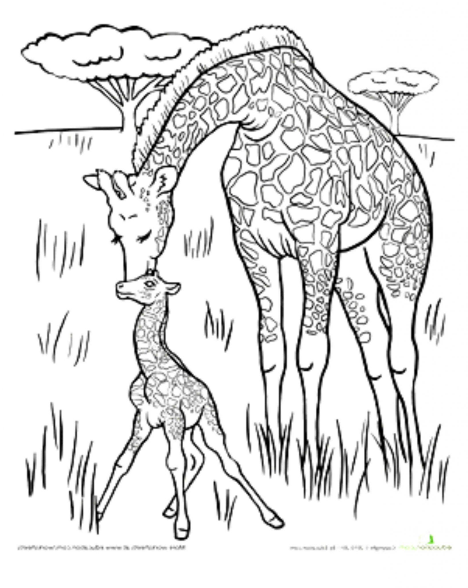 Download Print Download Giraffe Coloring Pages For Kids To Have Fun