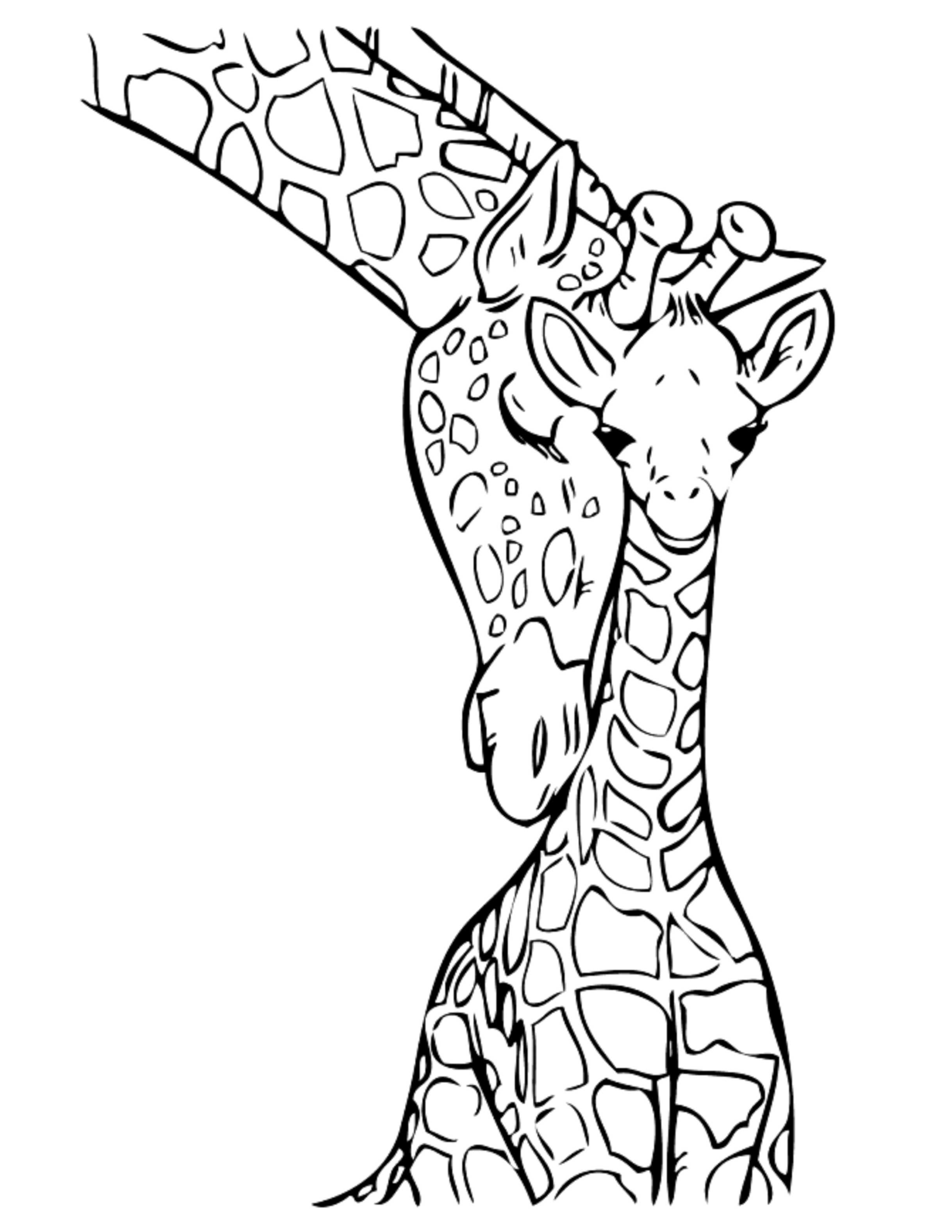 Coloring Pages Giraffe