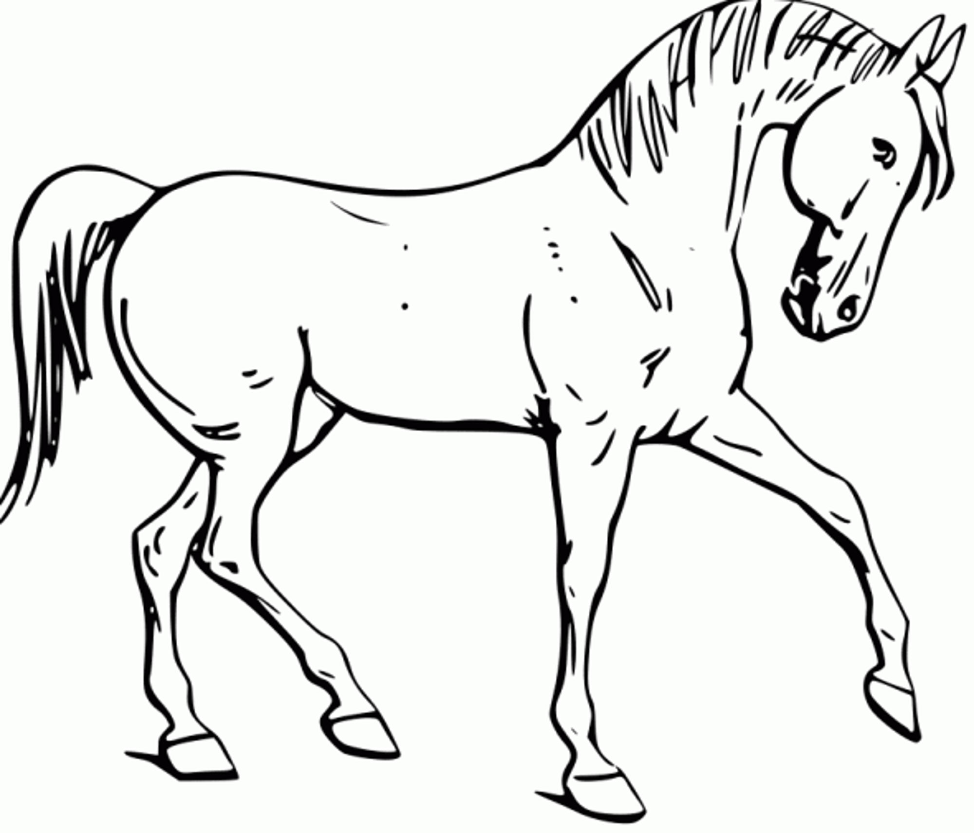 Printable Coloring Page Horse - Printable Blank World
