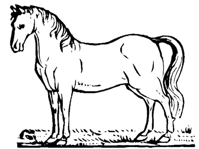 Free Printables Of Horses