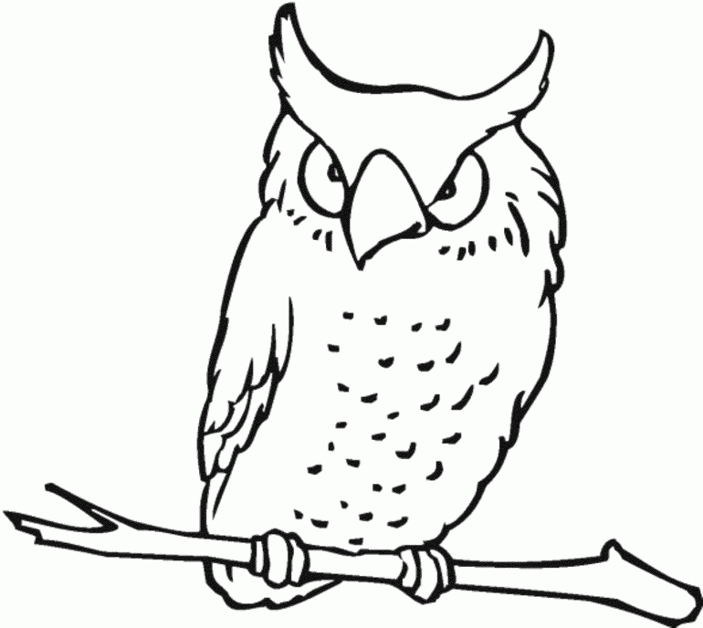 Print & Download - Owl Coloring Pages for Your Kids