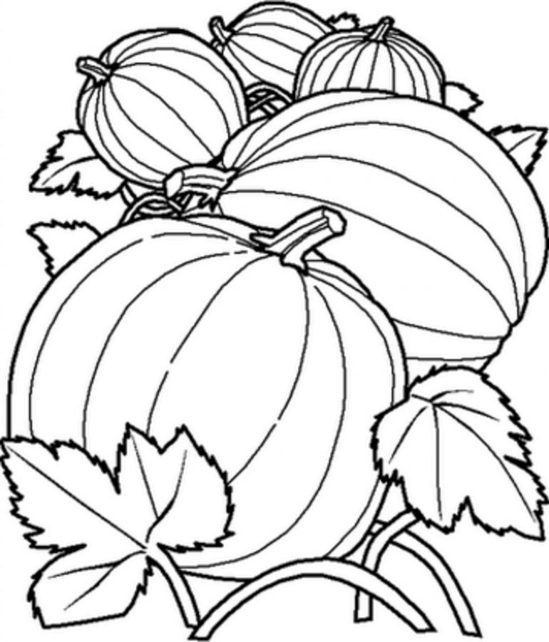 Print & Download - Pumpkin Coloring Pages and Benefits of Drawing for Kids