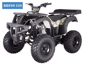 BRAND New Adult Size 250 Adult Size ATV