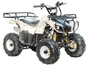 TAO TAO - Brand New 4 Wheeler fully automatic engine with REVERSE