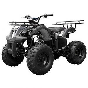 TaoTao Atv TForce 110cc Big Rugged Wheels