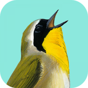 Song Sleuth Bird Song Analyzer