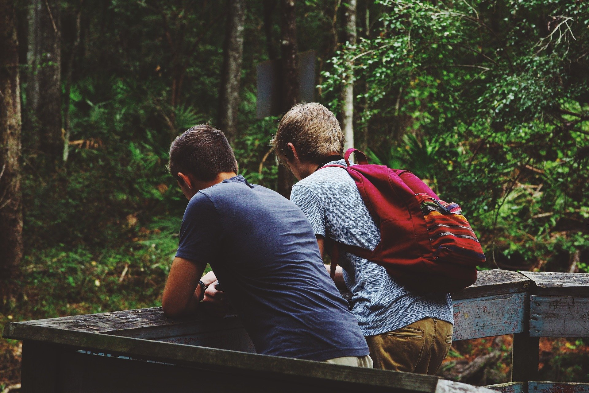  two young men on a nature overlook