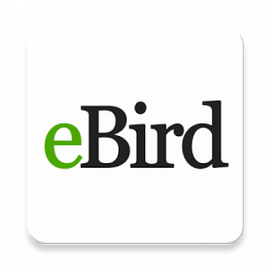 eBird by Cornell Lab