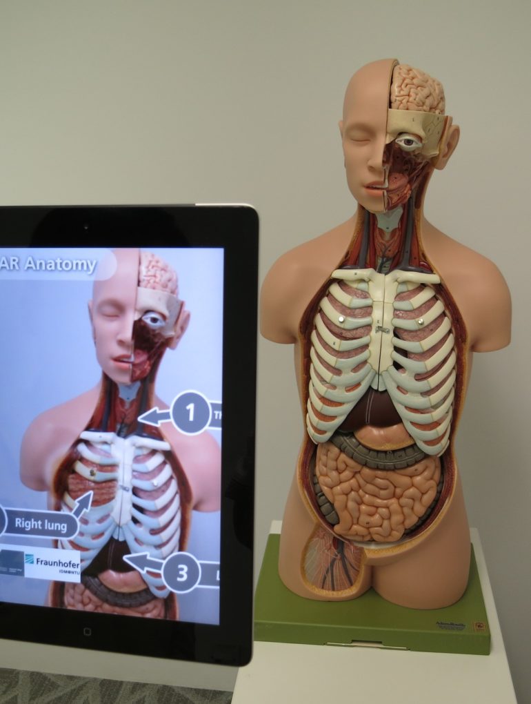 Medical AR scene